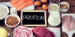 تاثیر پروتئین بر روی عملکرد بدن